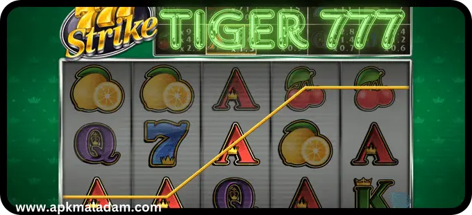 tiger777 casino