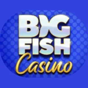 big fish casino free coins​